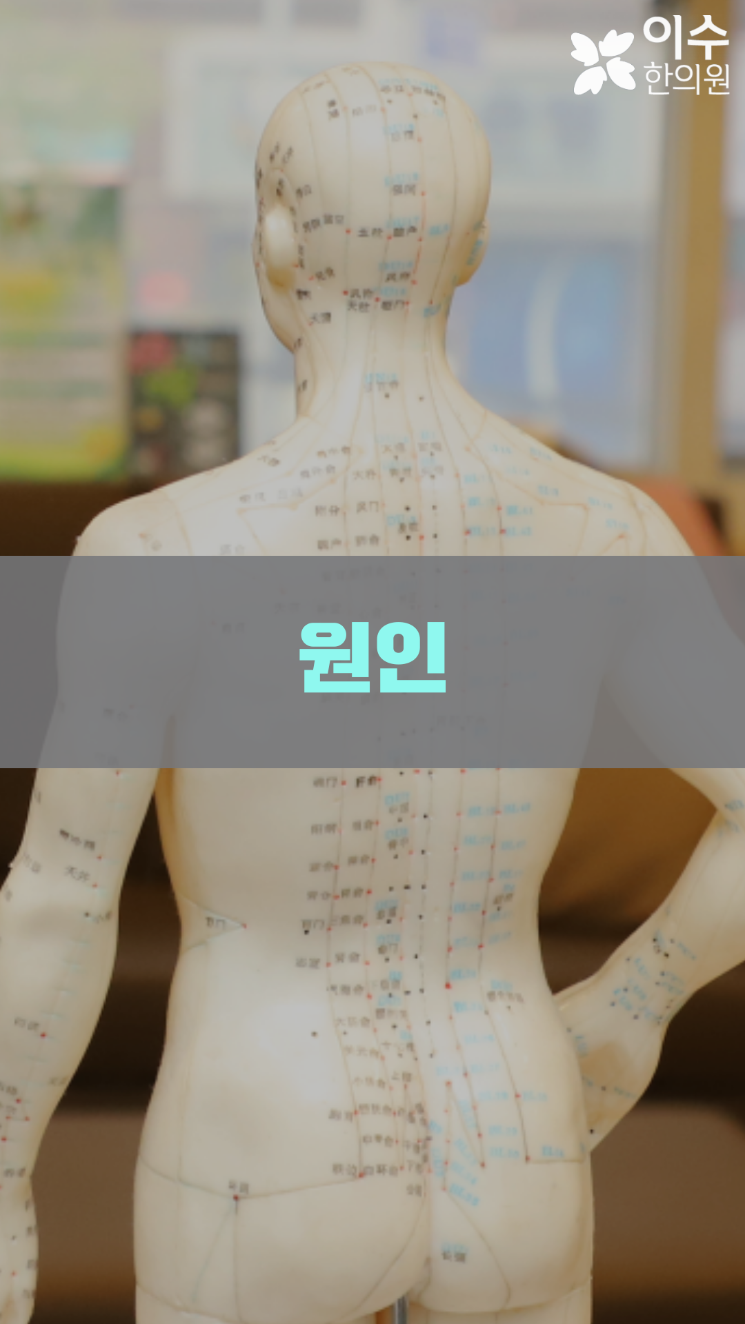 이수한의원 건강 칼럼 이미지