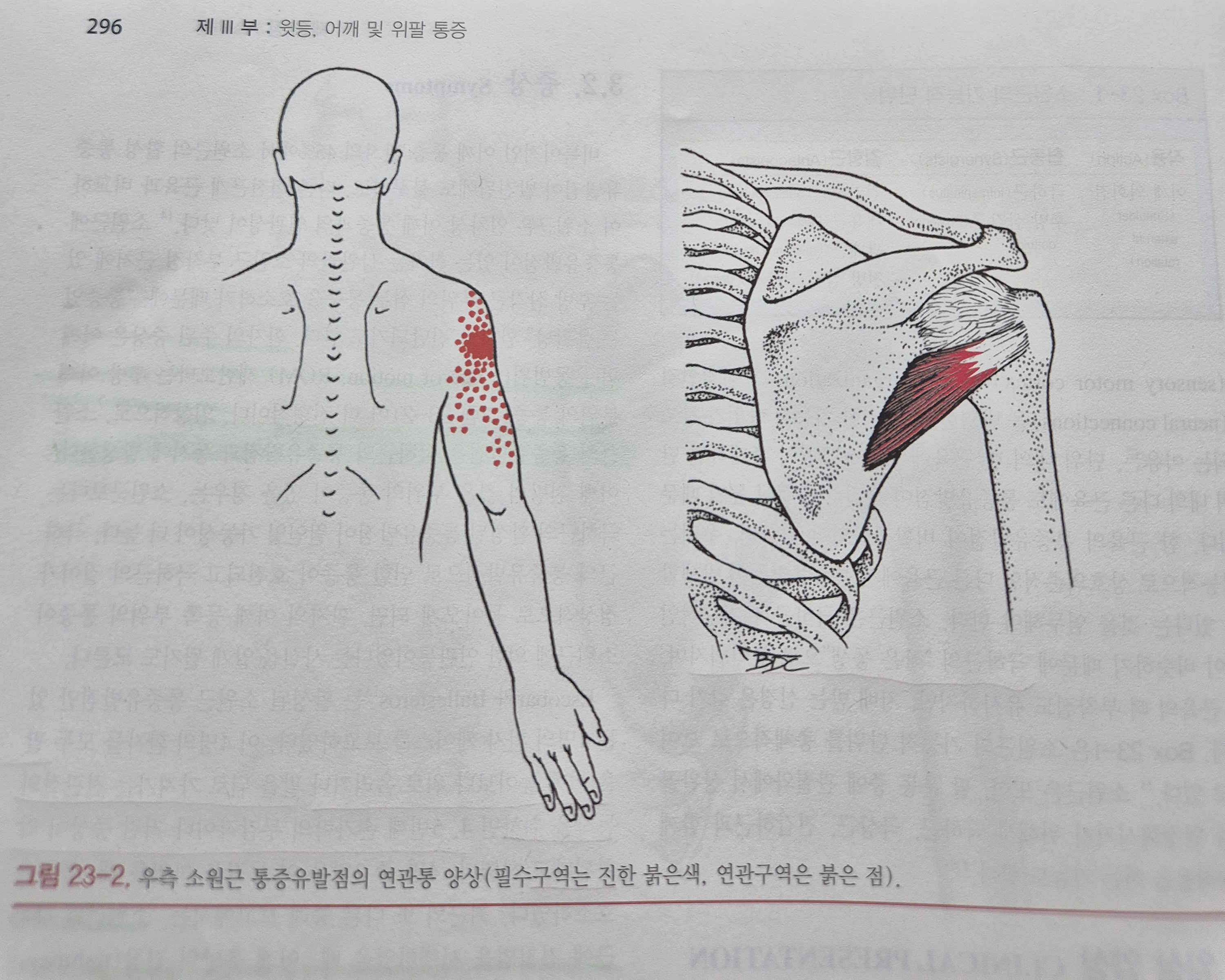 이수한의원 건강 칼럼 이미지