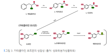 이수한의원 건강 칼럼 이미지