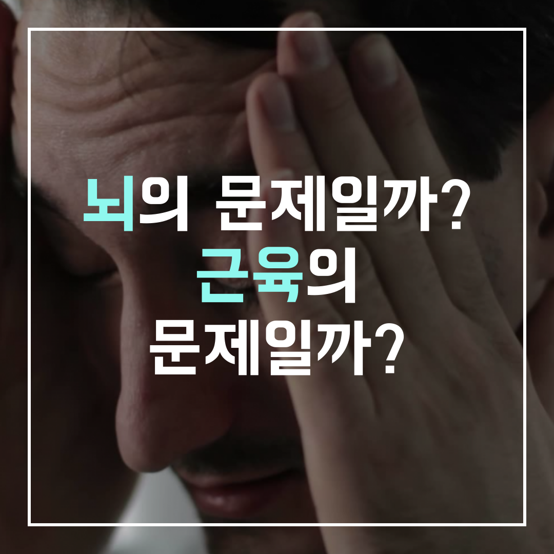 이수한의원 건강 칼럼 이미지
