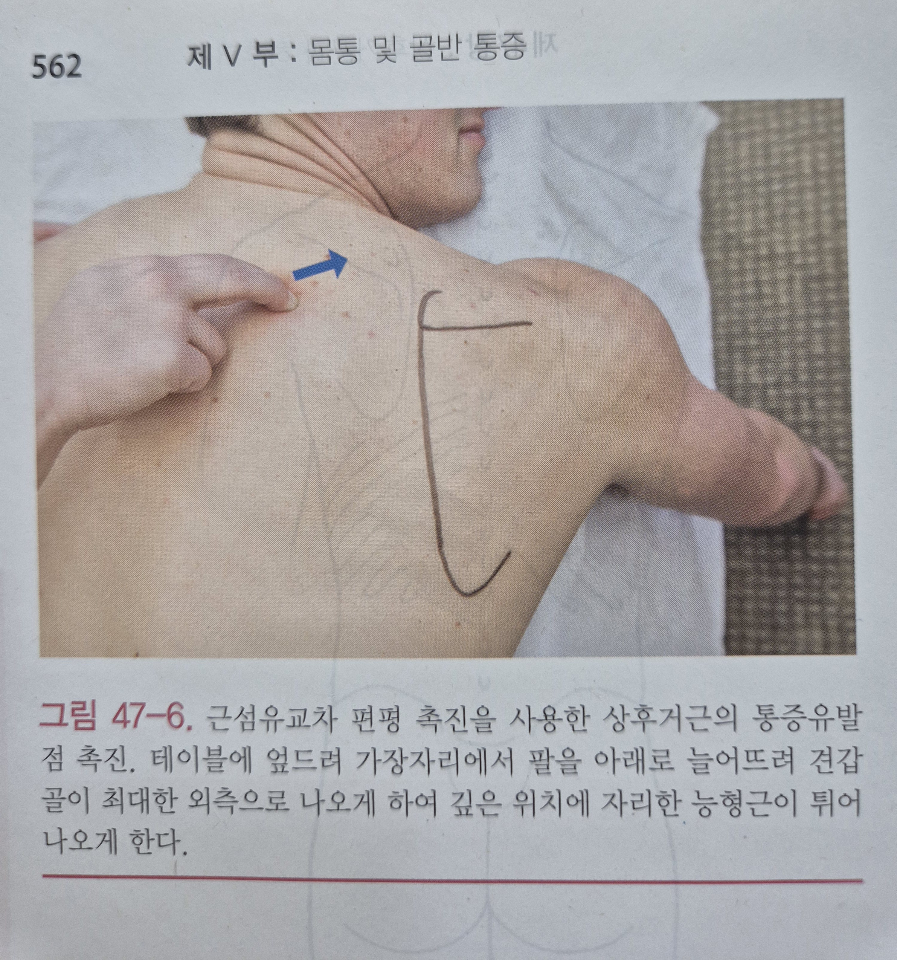 이수한의원 건강 칼럼 이미지
