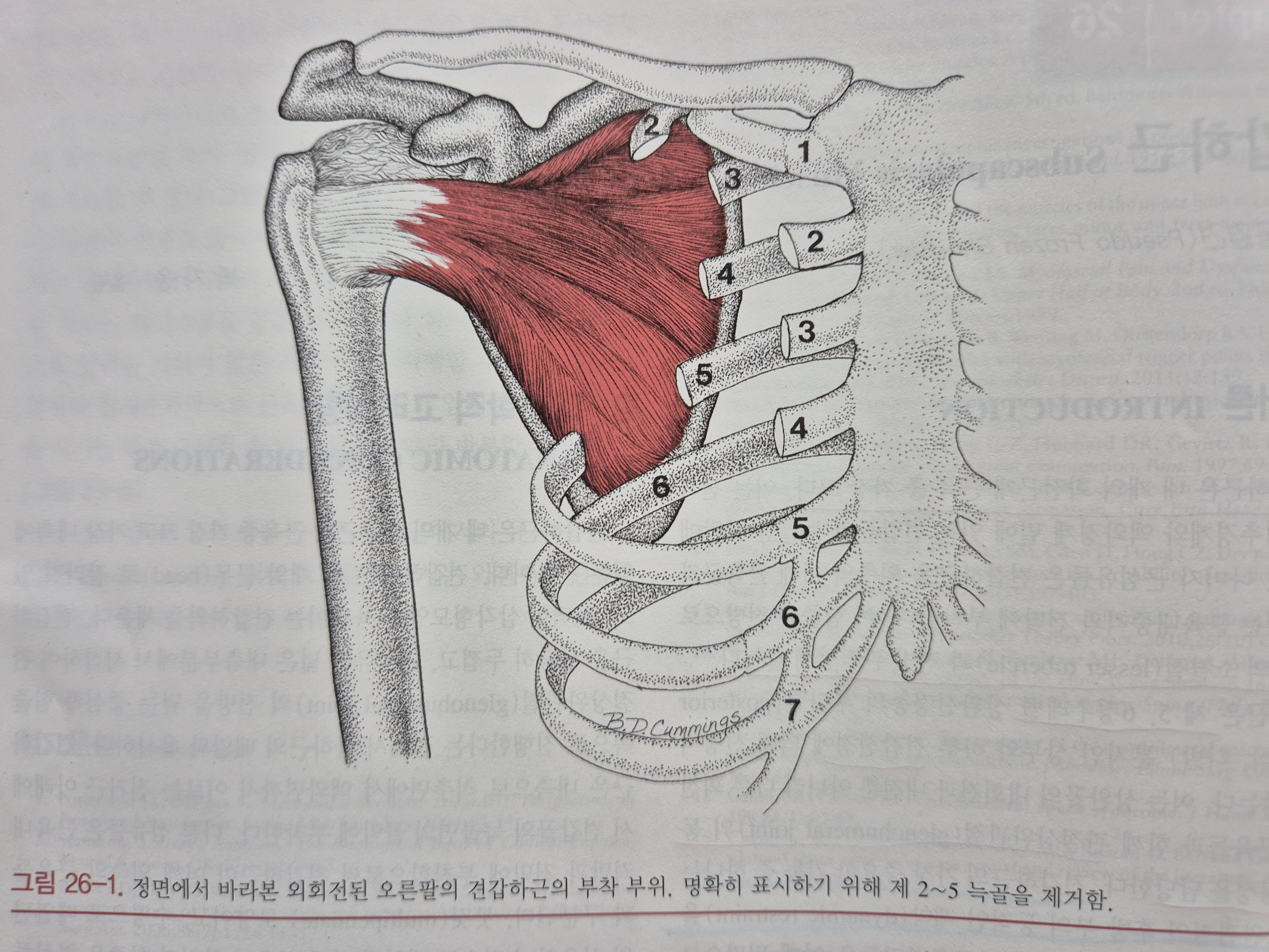 이수한의원 건강 칼럼 이미지