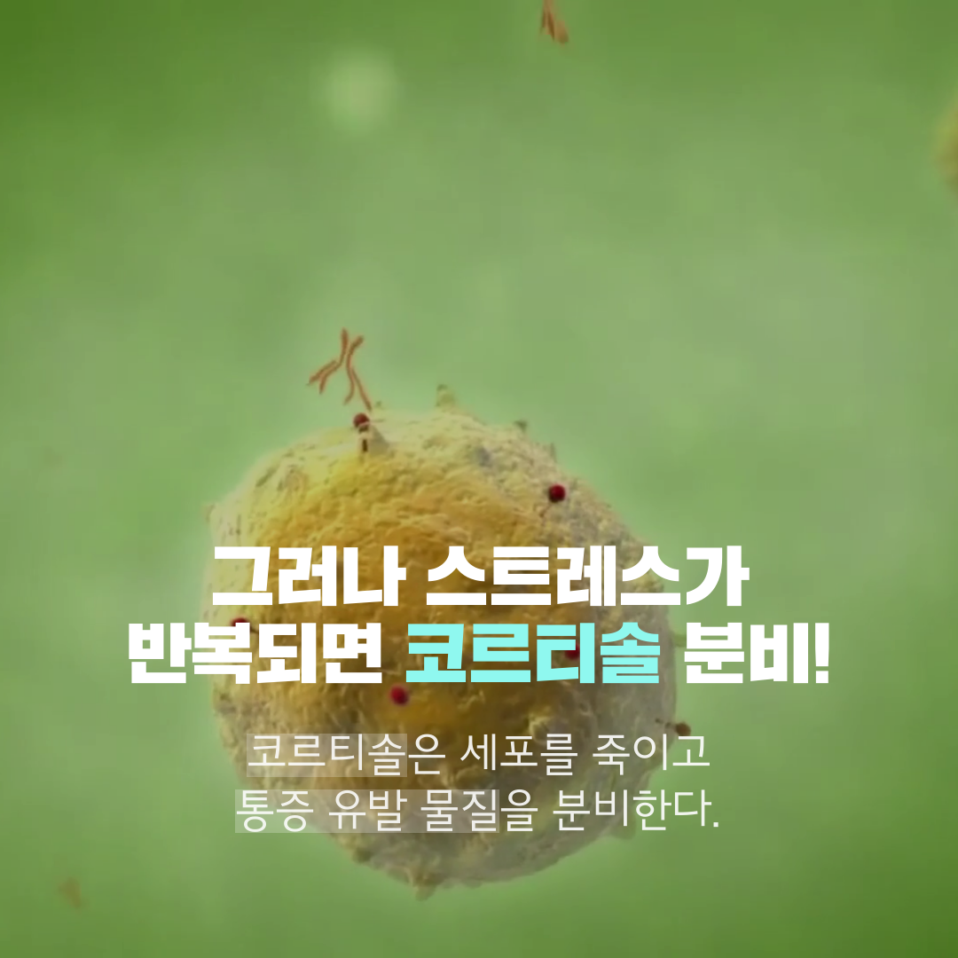 이수한의원 건강 칼럼 이미지