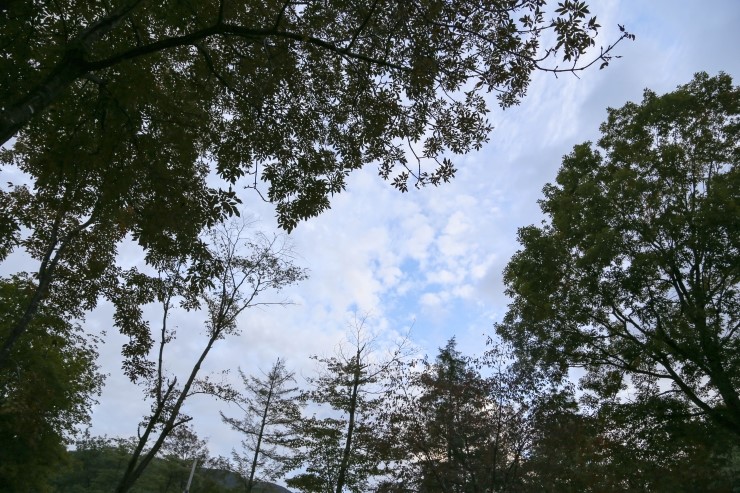 이수한의원 건강 칼럼 이미지