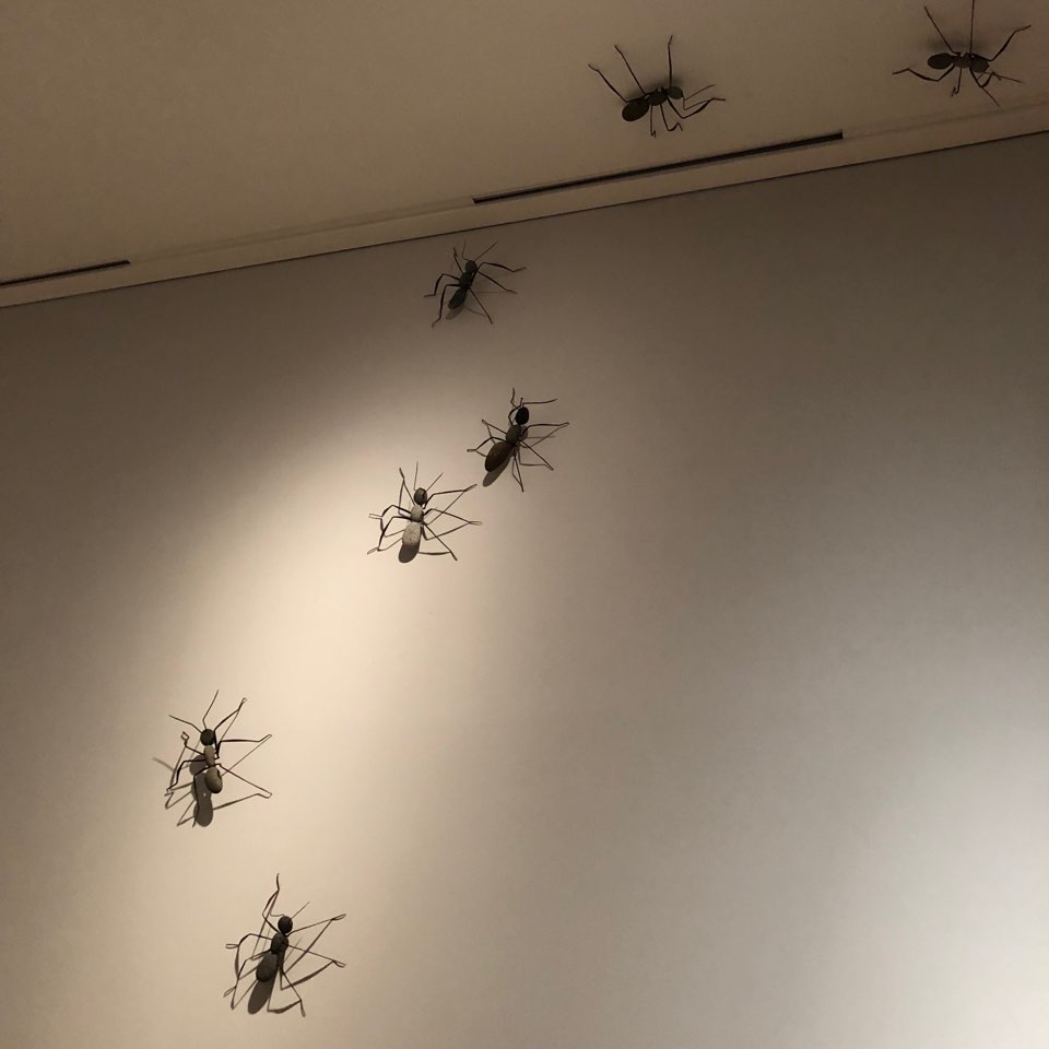 이수한의원 건강 칼럼 이미지