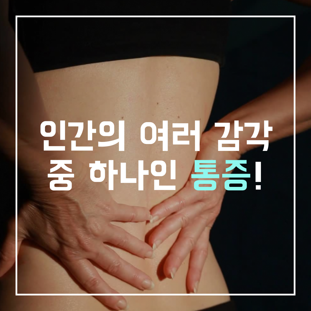 이수한의원 건강 칼럼 이미지