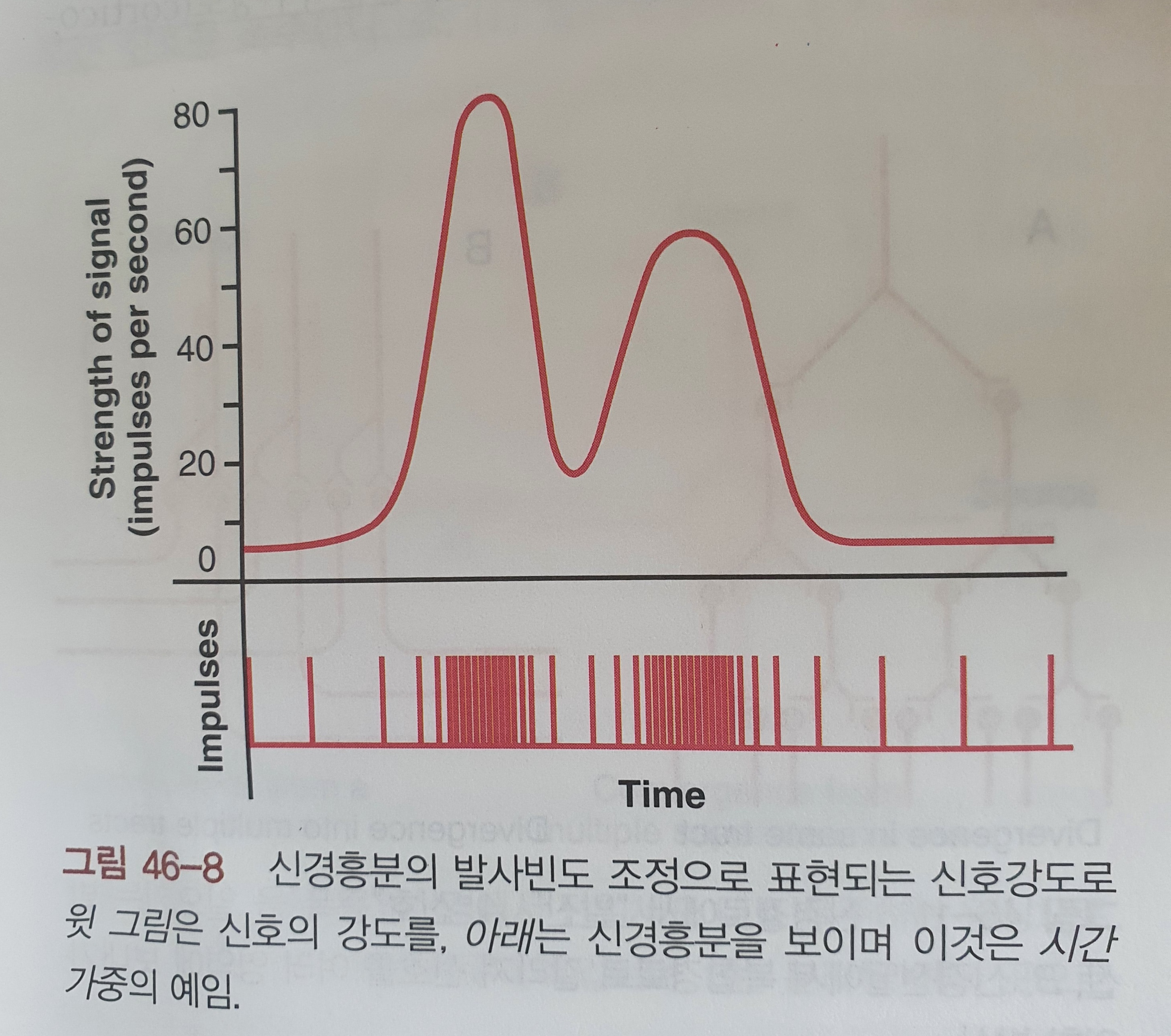 이수한의원 건강 칼럼 이미지