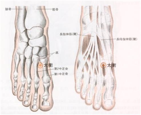이수한의원 건강 칼럼 이미지