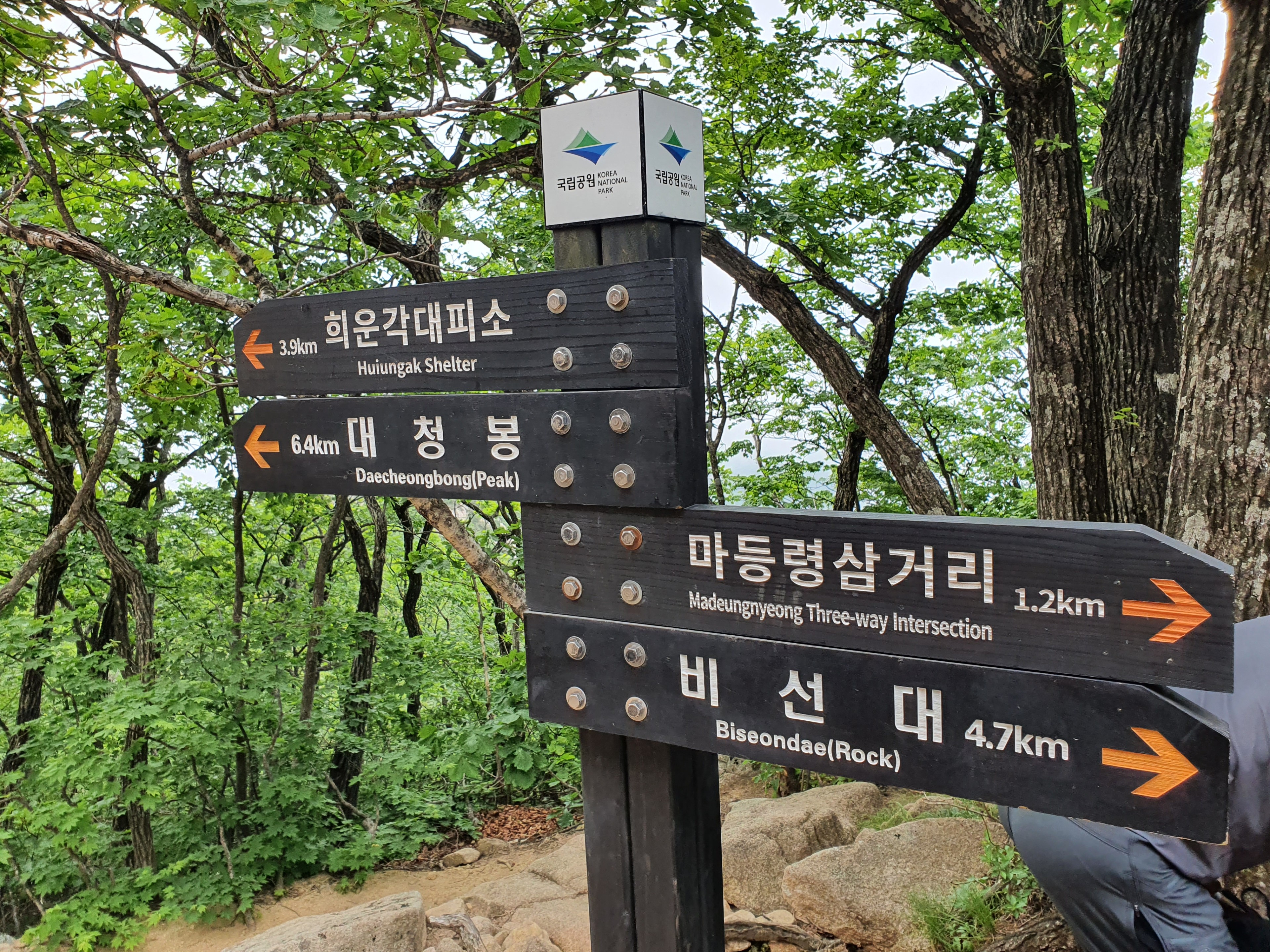 이수한의원 건강 칼럼 이미지