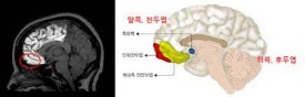 이수한의원 건강 칼럼 이미지