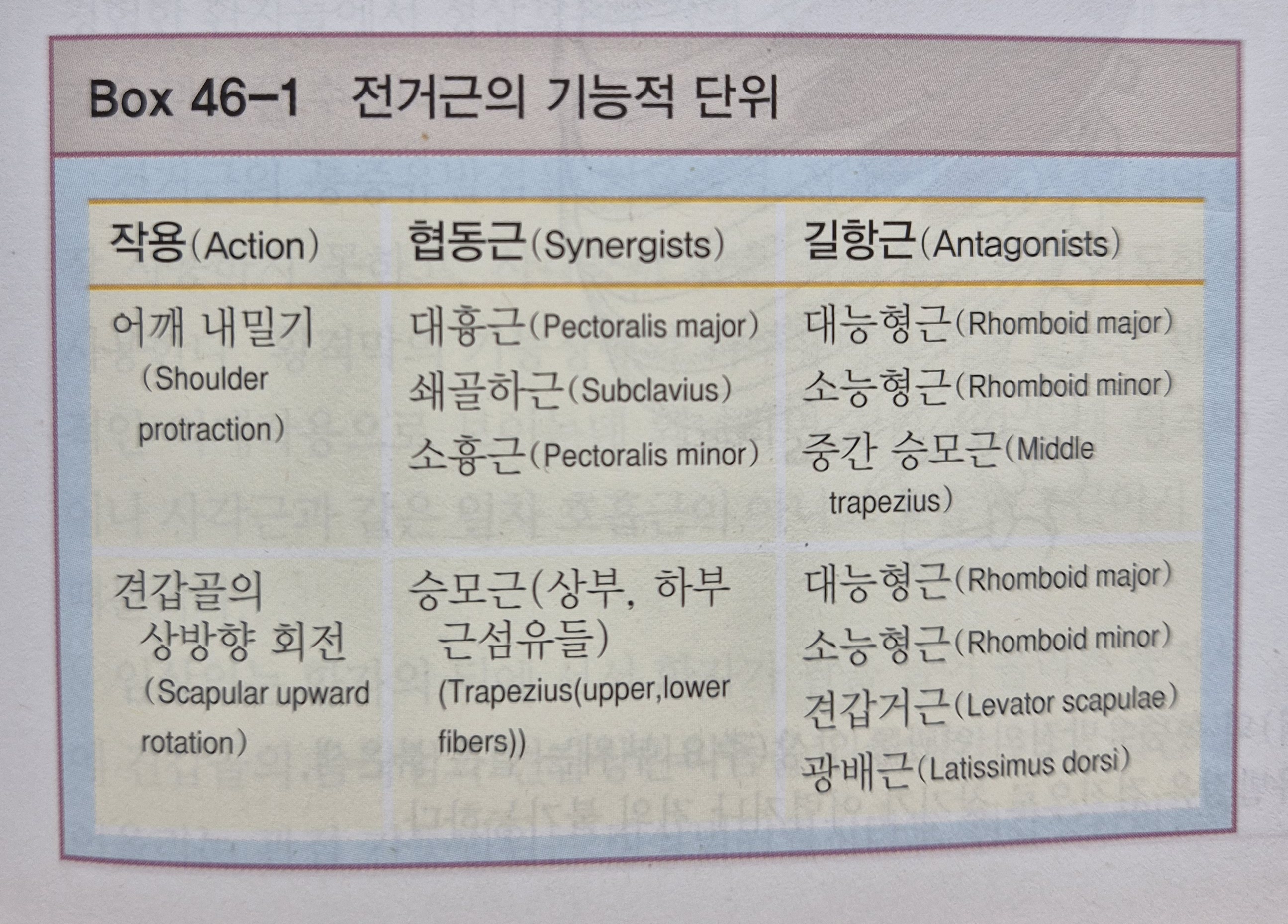 이수한의원 건강 칼럼 이미지