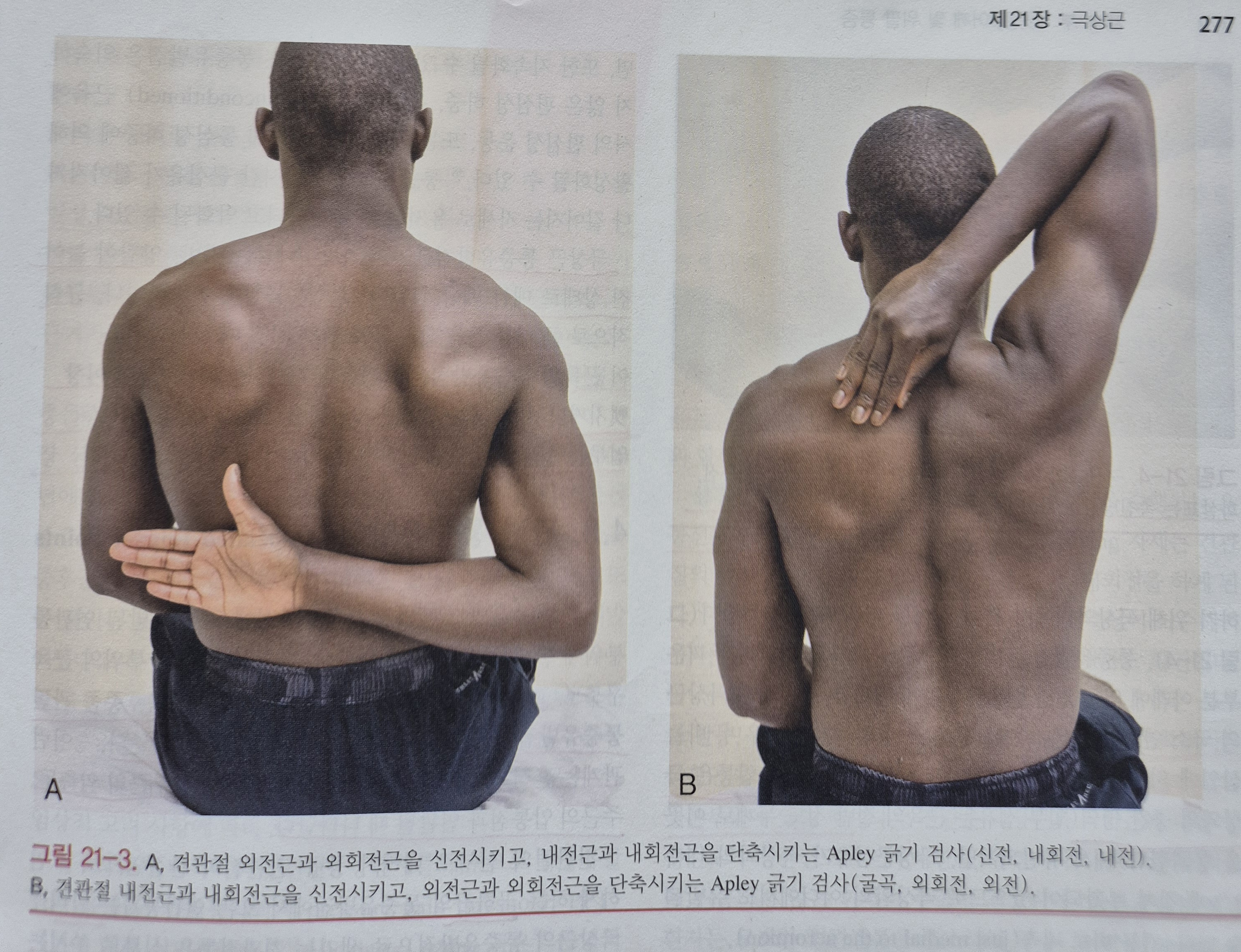이수한의원 건강 칼럼 이미지