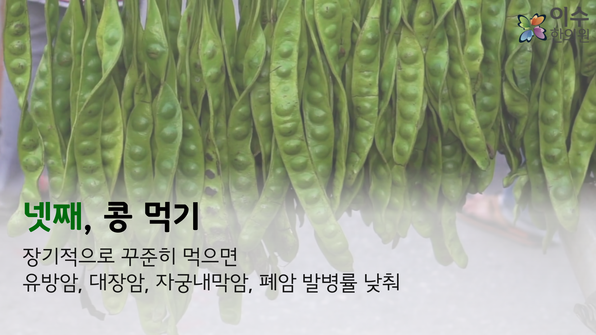 이수한의원 건강 칼럼 이미지