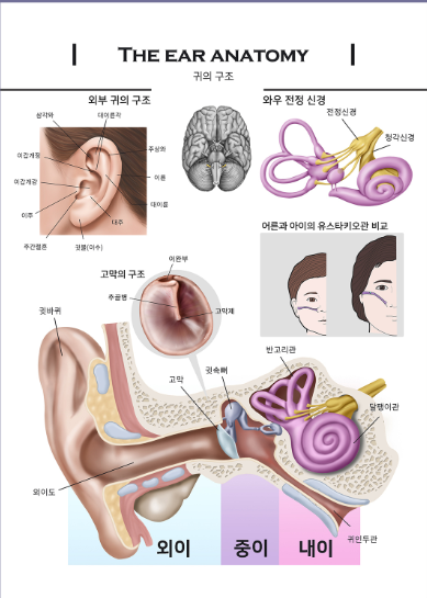 이수한의원 건강 칼럼 이미지