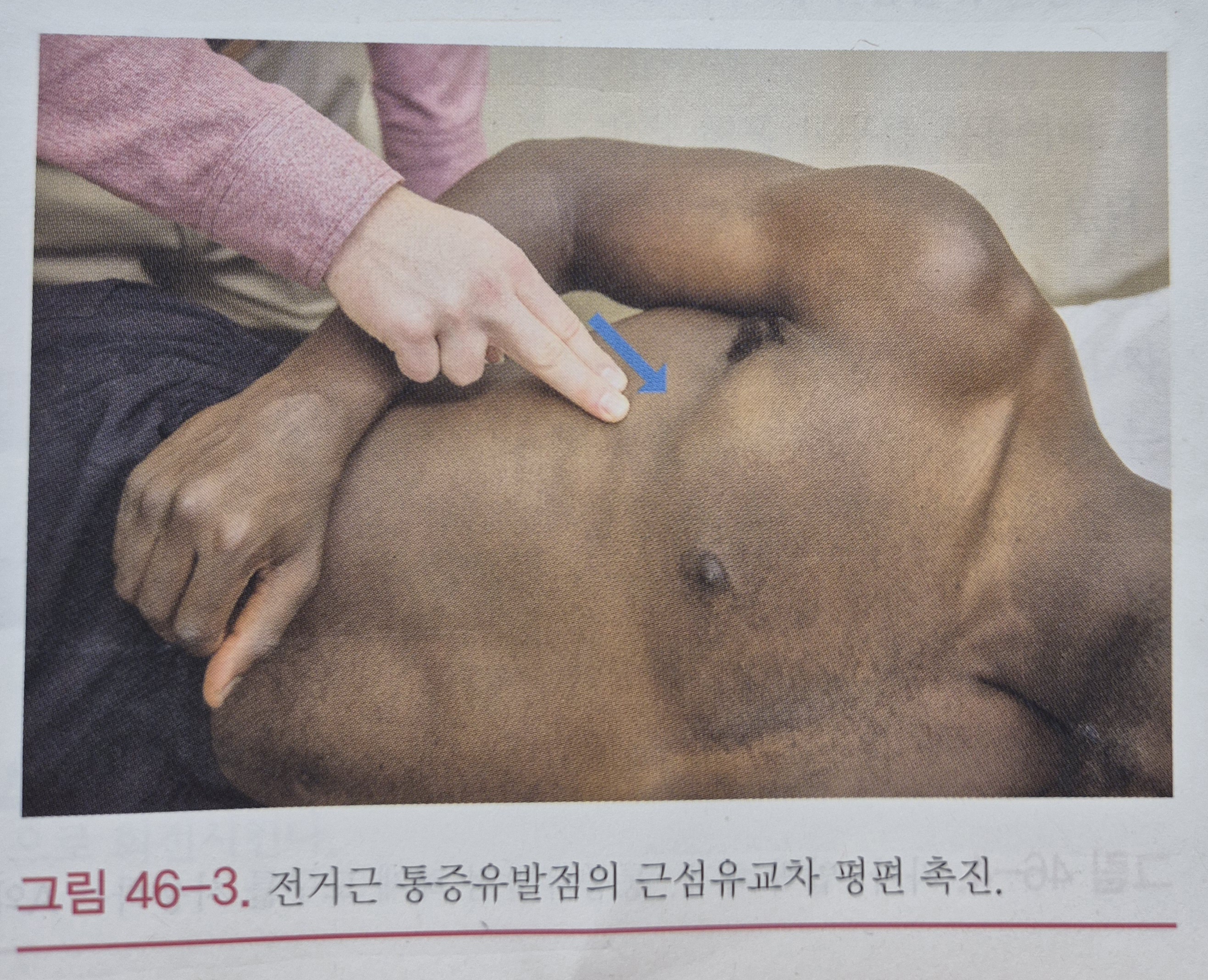 이수한의원 건강 칼럼 이미지