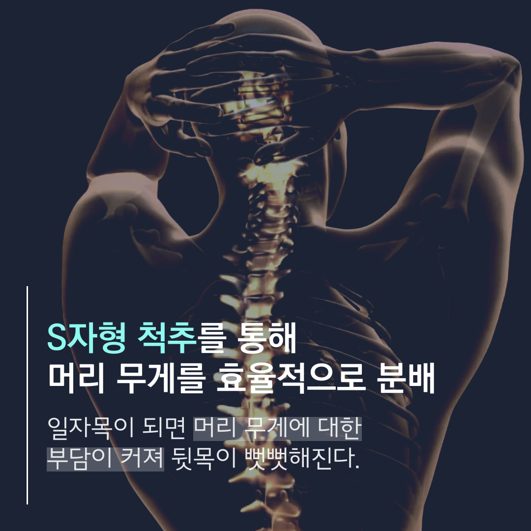 이수한의원 건강 칼럼 이미지
