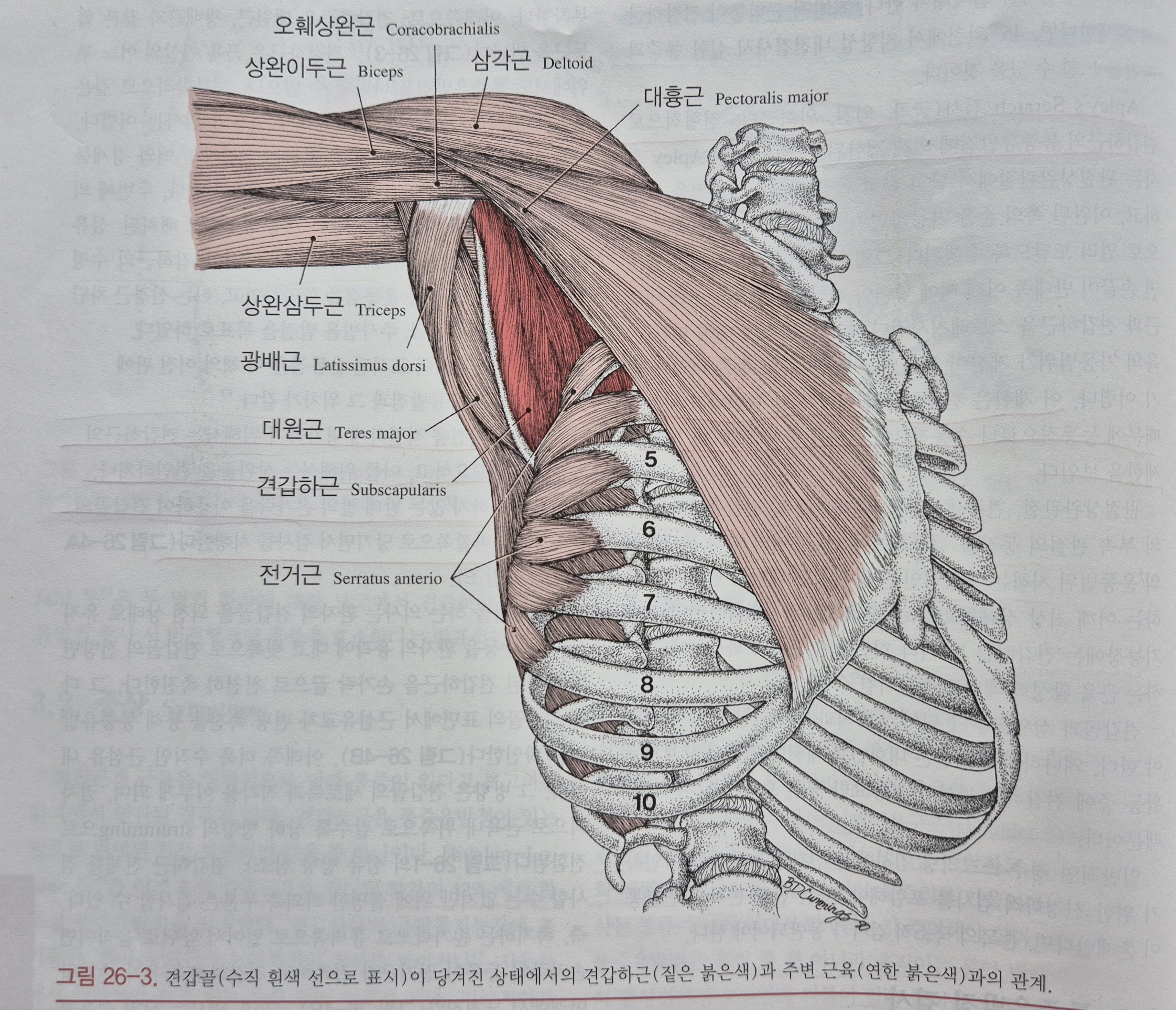 이수한의원 건강 칼럼 이미지