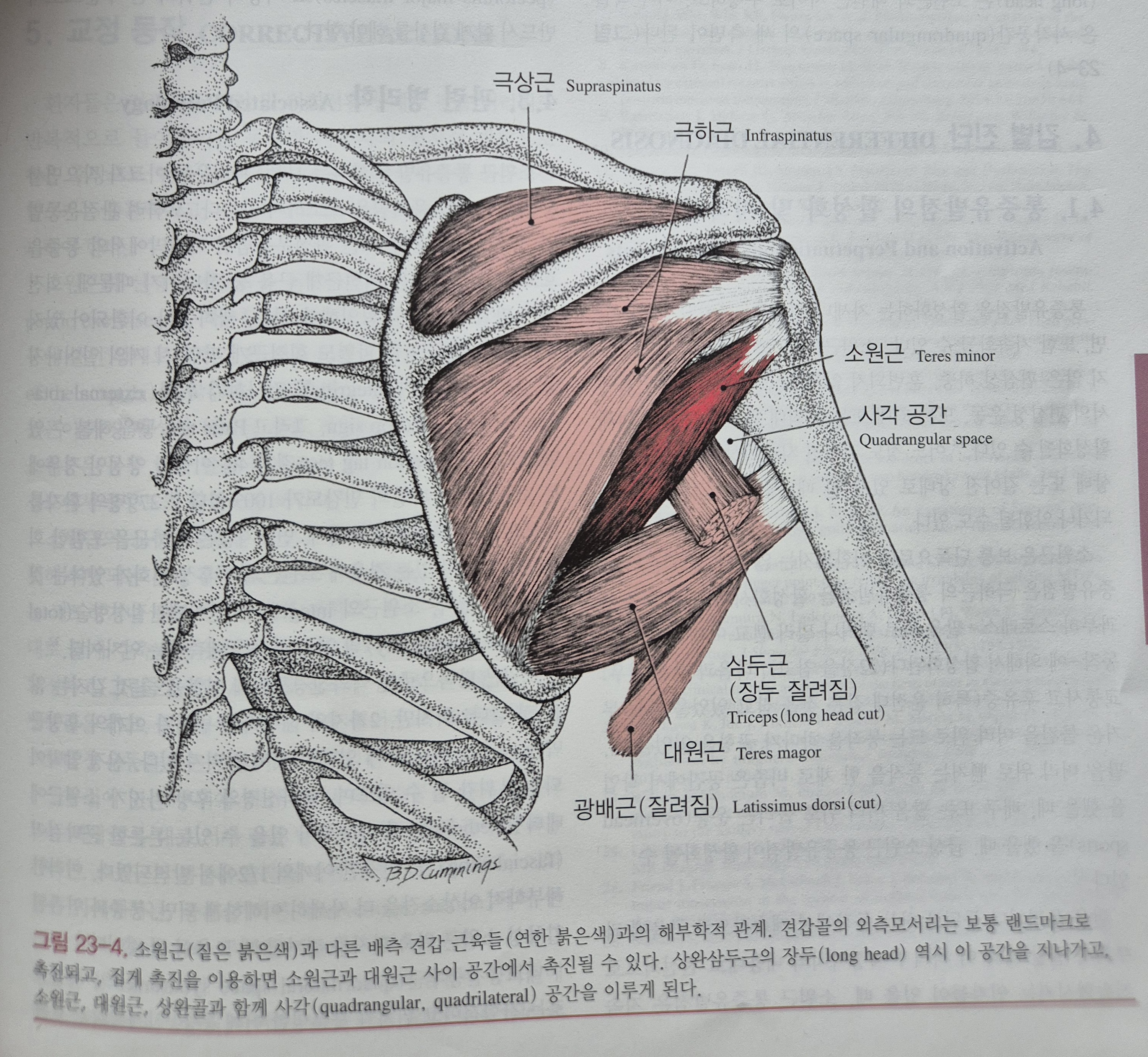 이수한의원 건강 칼럼 이미지