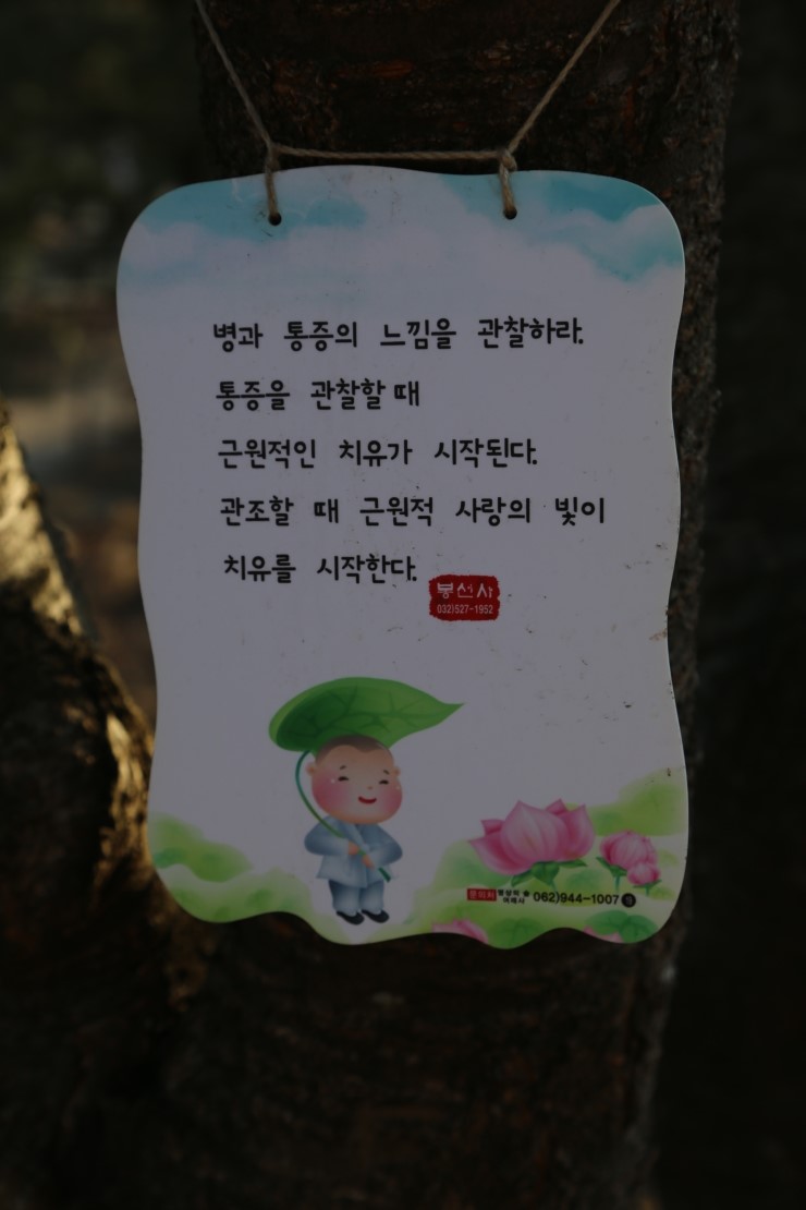 이수한의원 건강 칼럼 이미지