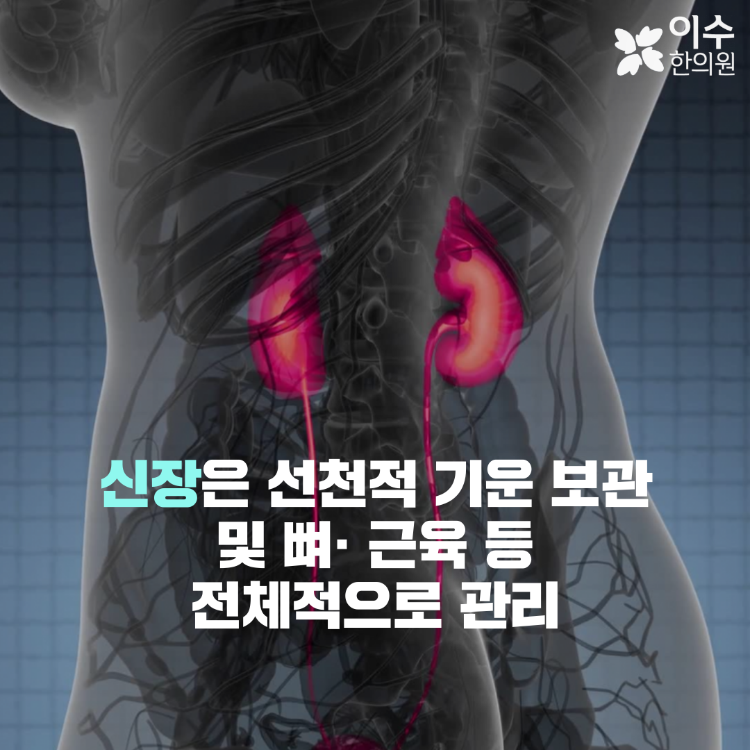 이수한의원 건강 칼럼 이미지