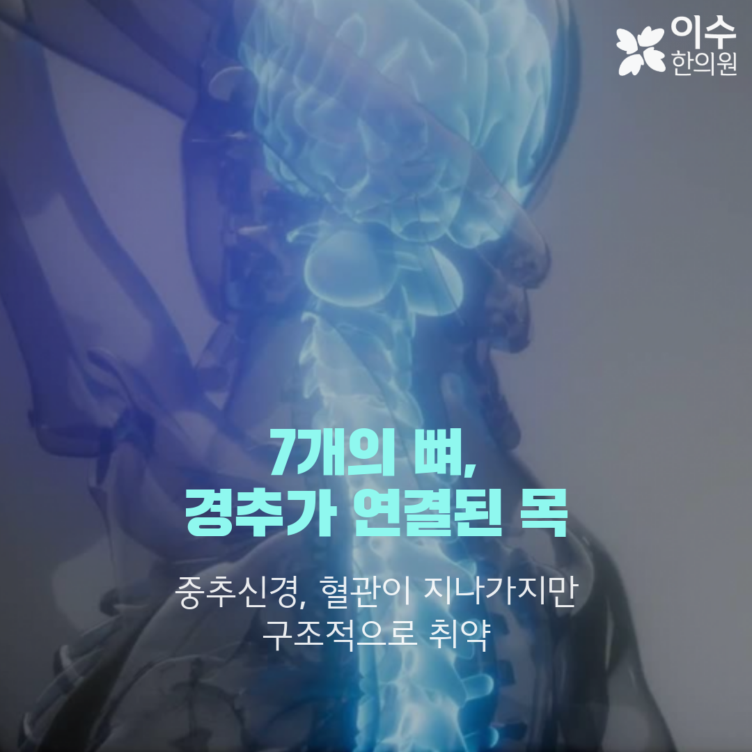 이수한의원 건강 칼럼 이미지