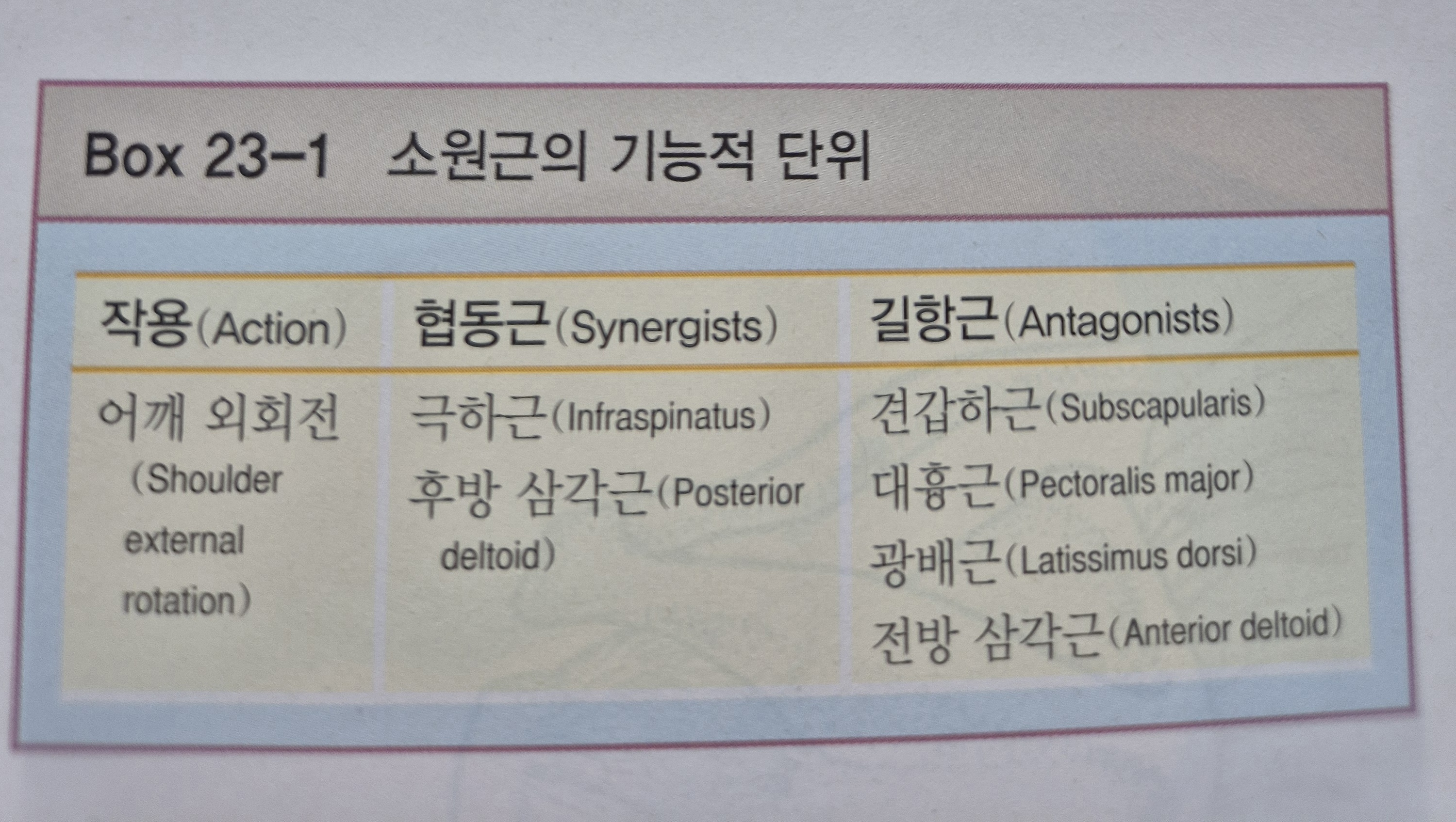 이수한의원 건강 칼럼 이미지