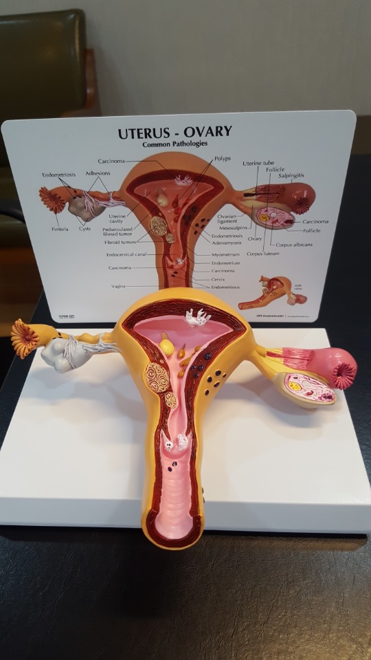 이수한의원 건강 칼럼 이미지