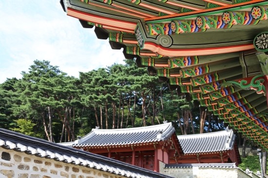 이수한의원 건강 칼럼 이미지