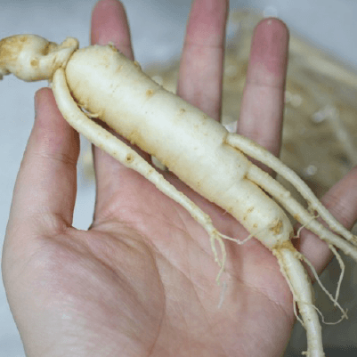 이수한의원 건강 칼럼 이미지