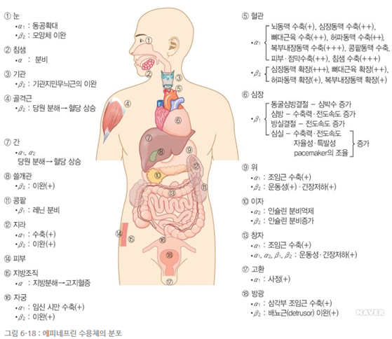 이수한의원 건강 칼럼 이미지