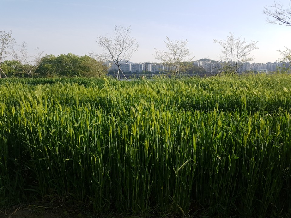 이수한의원 건강 칼럼 이미지