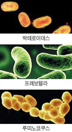 이수한의원 건강 칼럼 이미지