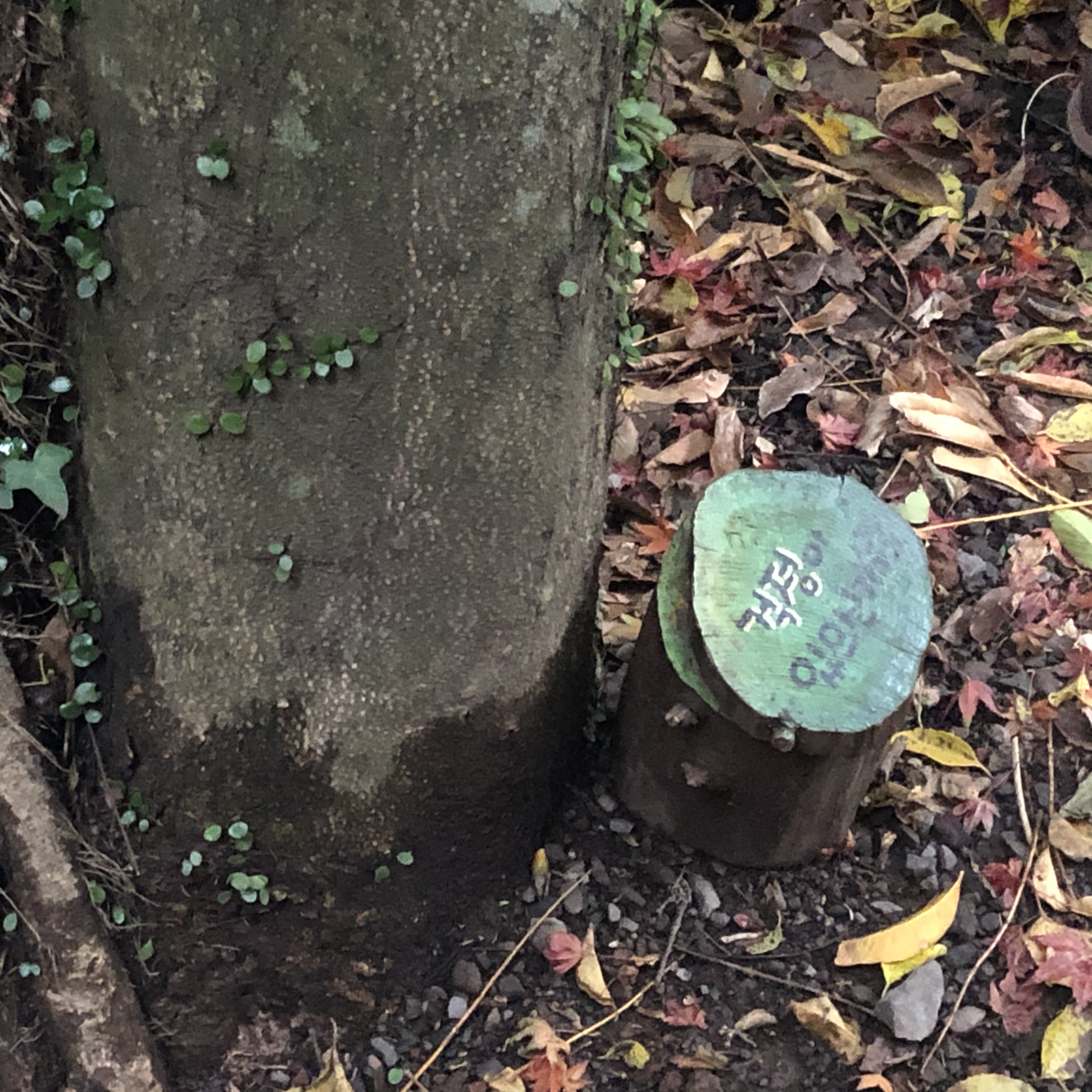 이수한의원 건강 칼럼 이미지