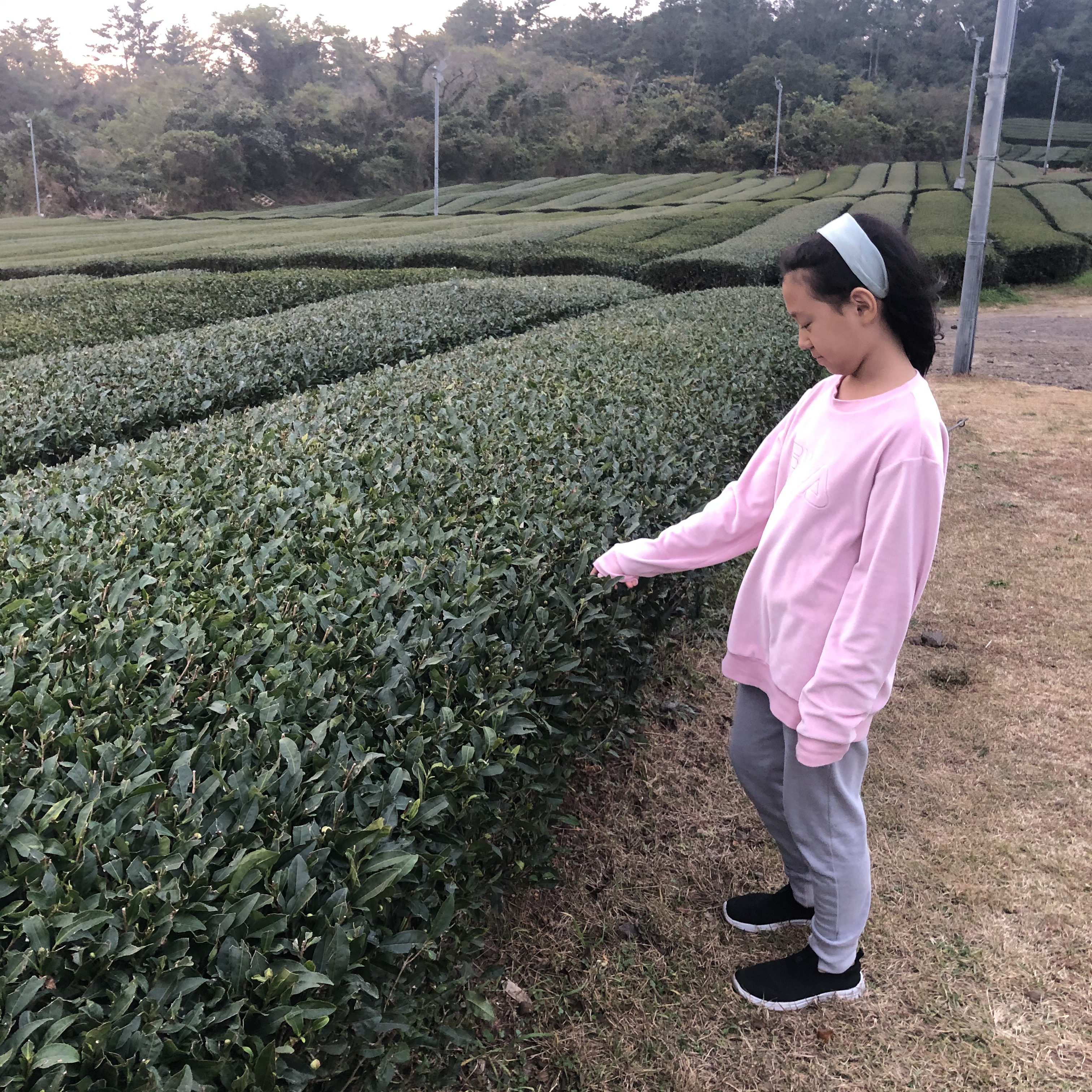이수한의원 건강 칼럼 이미지