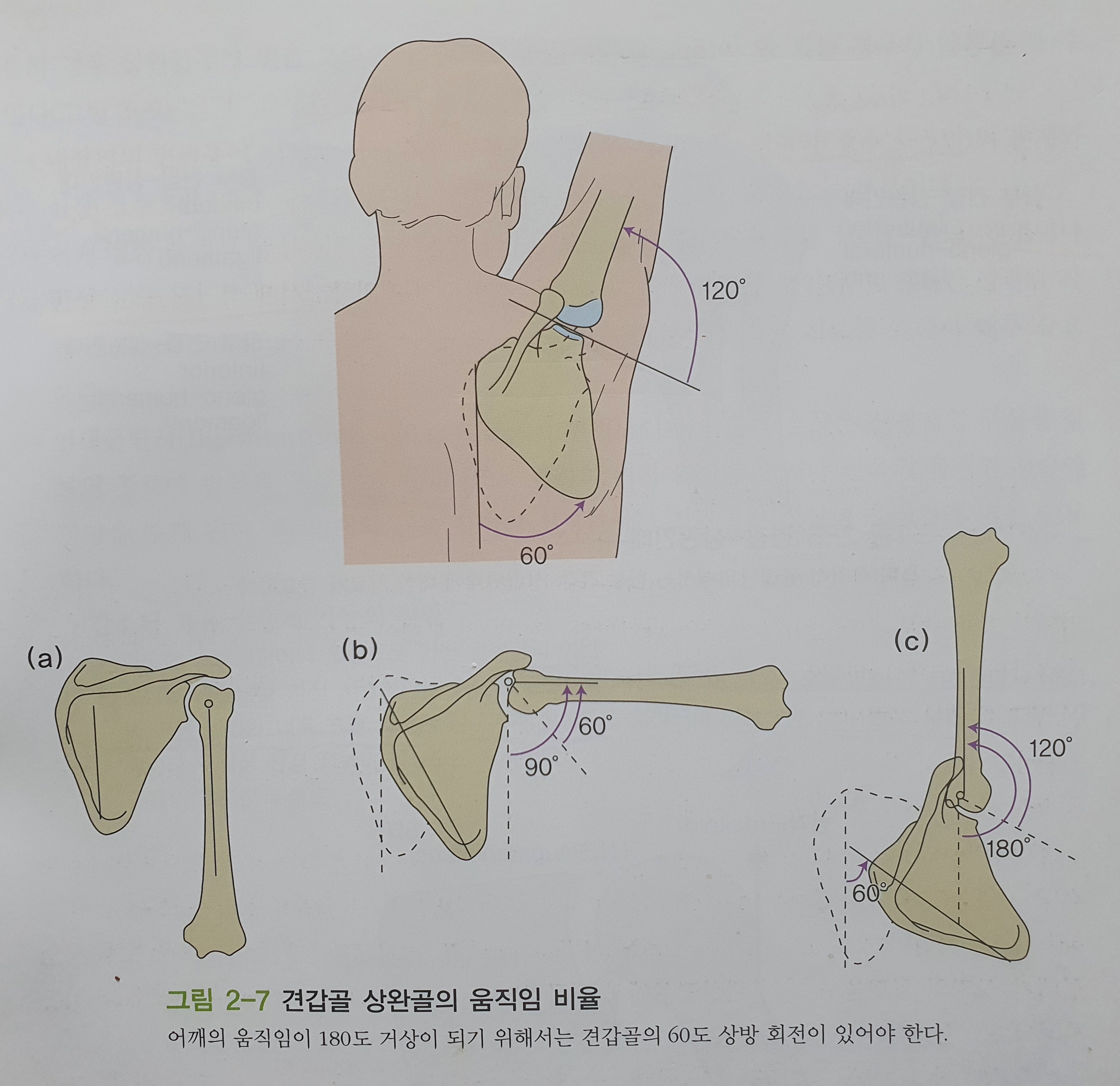 이수한의원 건강 칼럼 이미지