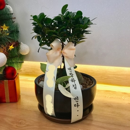 이수한의원 건강 칼럼 이미지