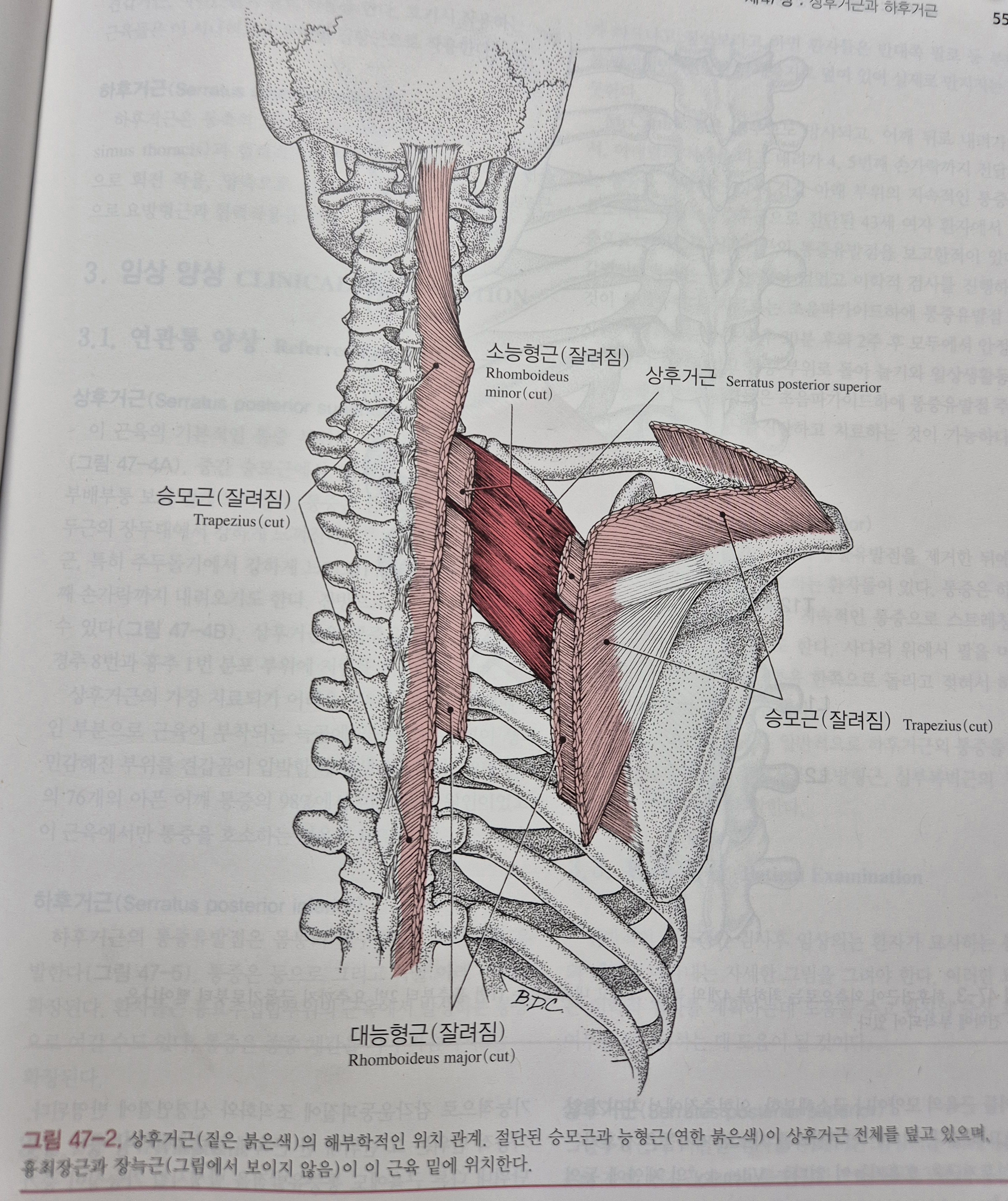 이수한의원 건강 칼럼 이미지
