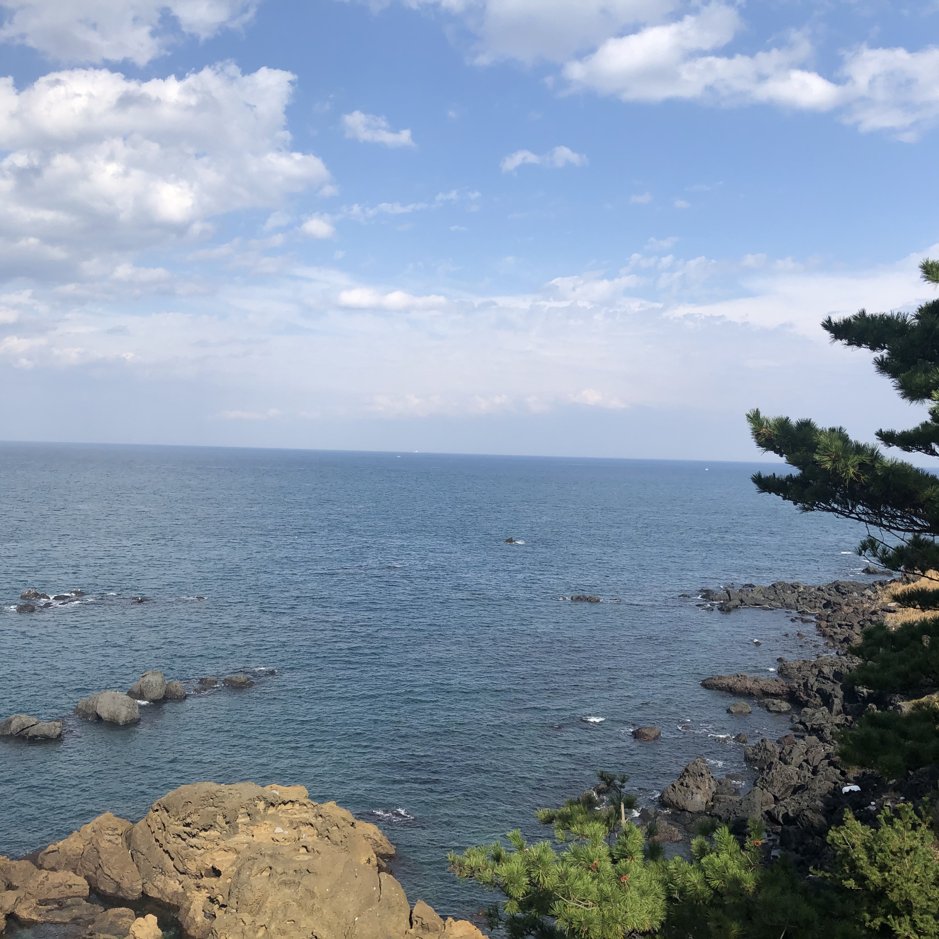 이수한의원 건강 칼럼 이미지