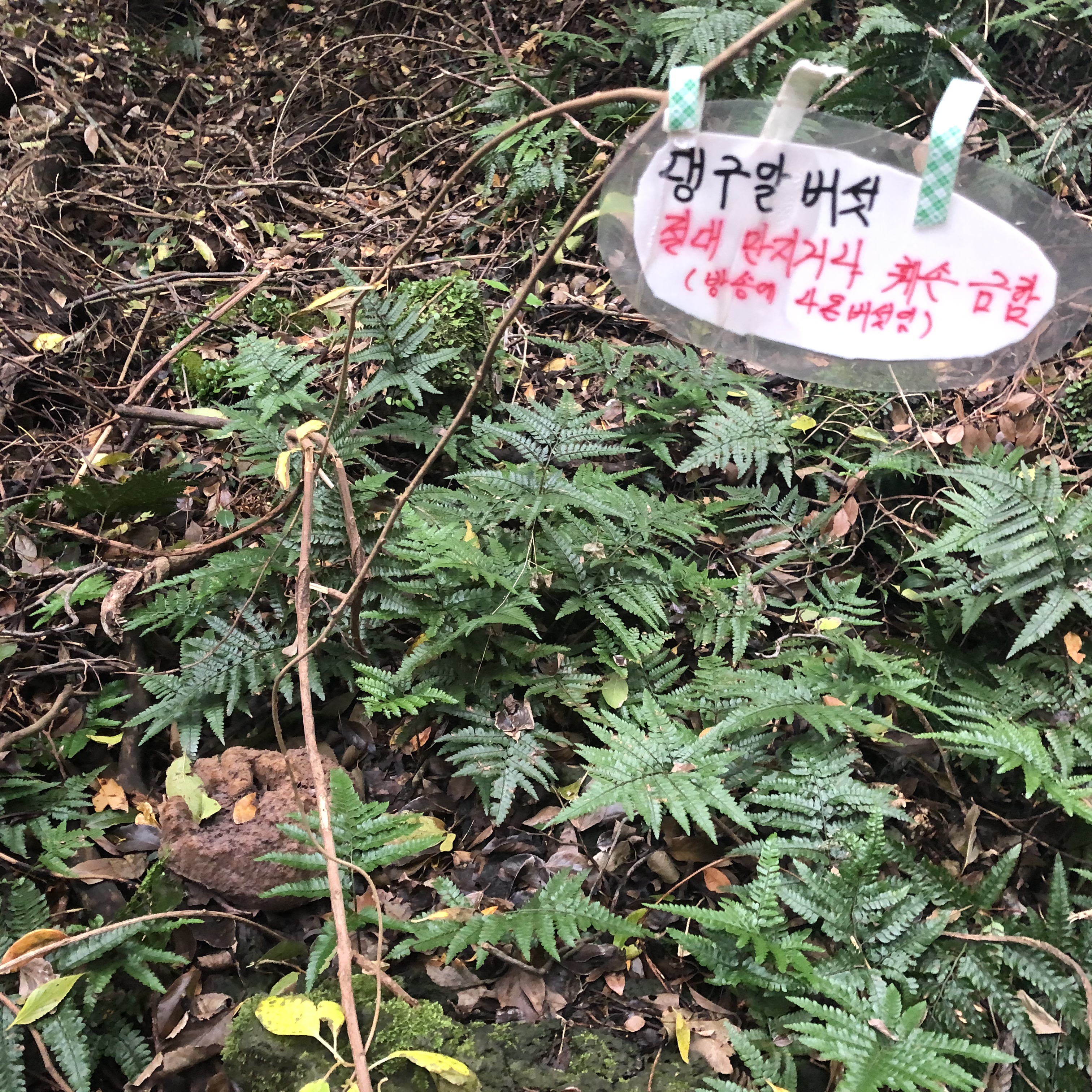 이수한의원 건강 칼럼 이미지