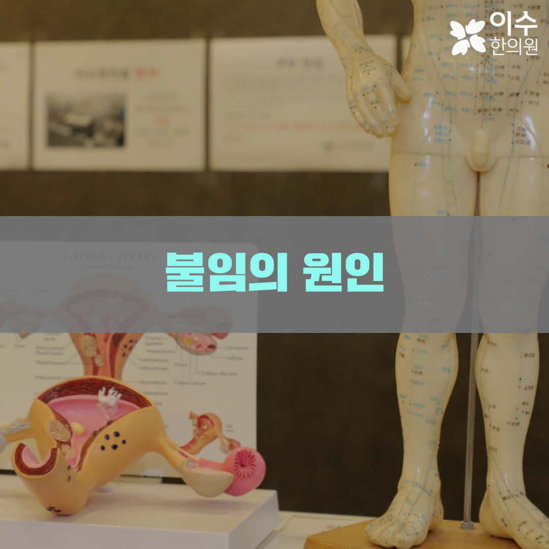 이수한의원 건강 칼럼 이미지