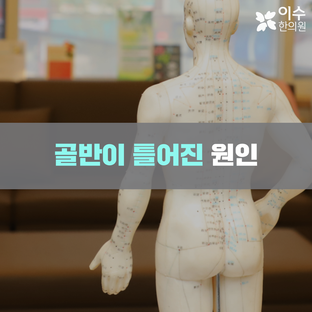 이수한의원 건강 칼럼 이미지
