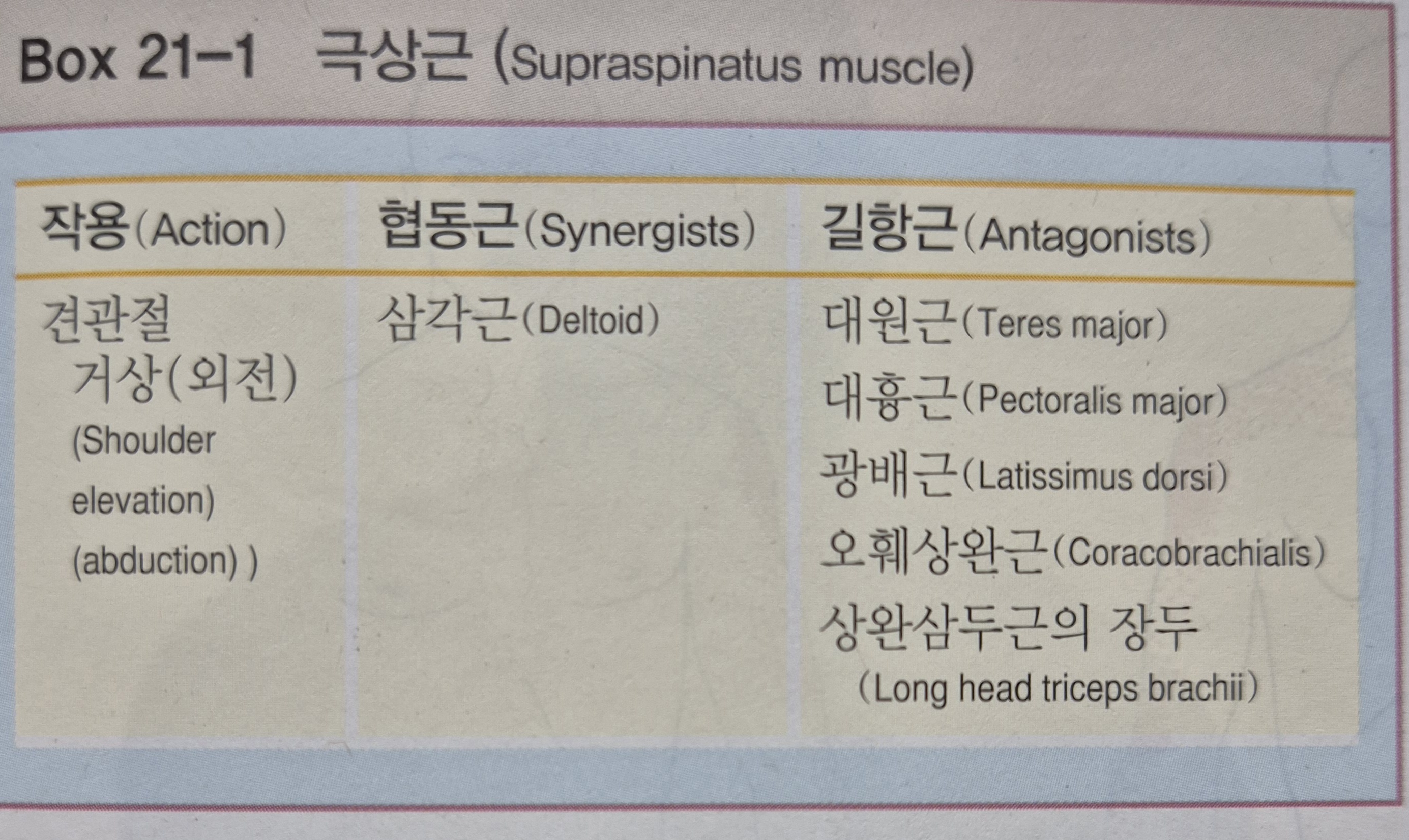 이수한의원 건강 칼럼 이미지