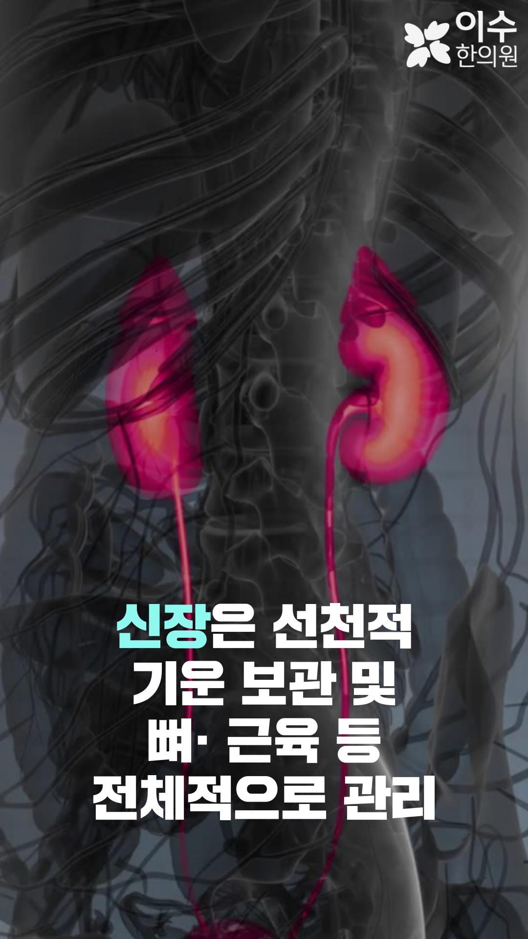 이수한의원 건강 칼럼 이미지