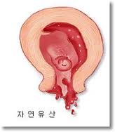 이수한의원 건강 칼럼 이미지