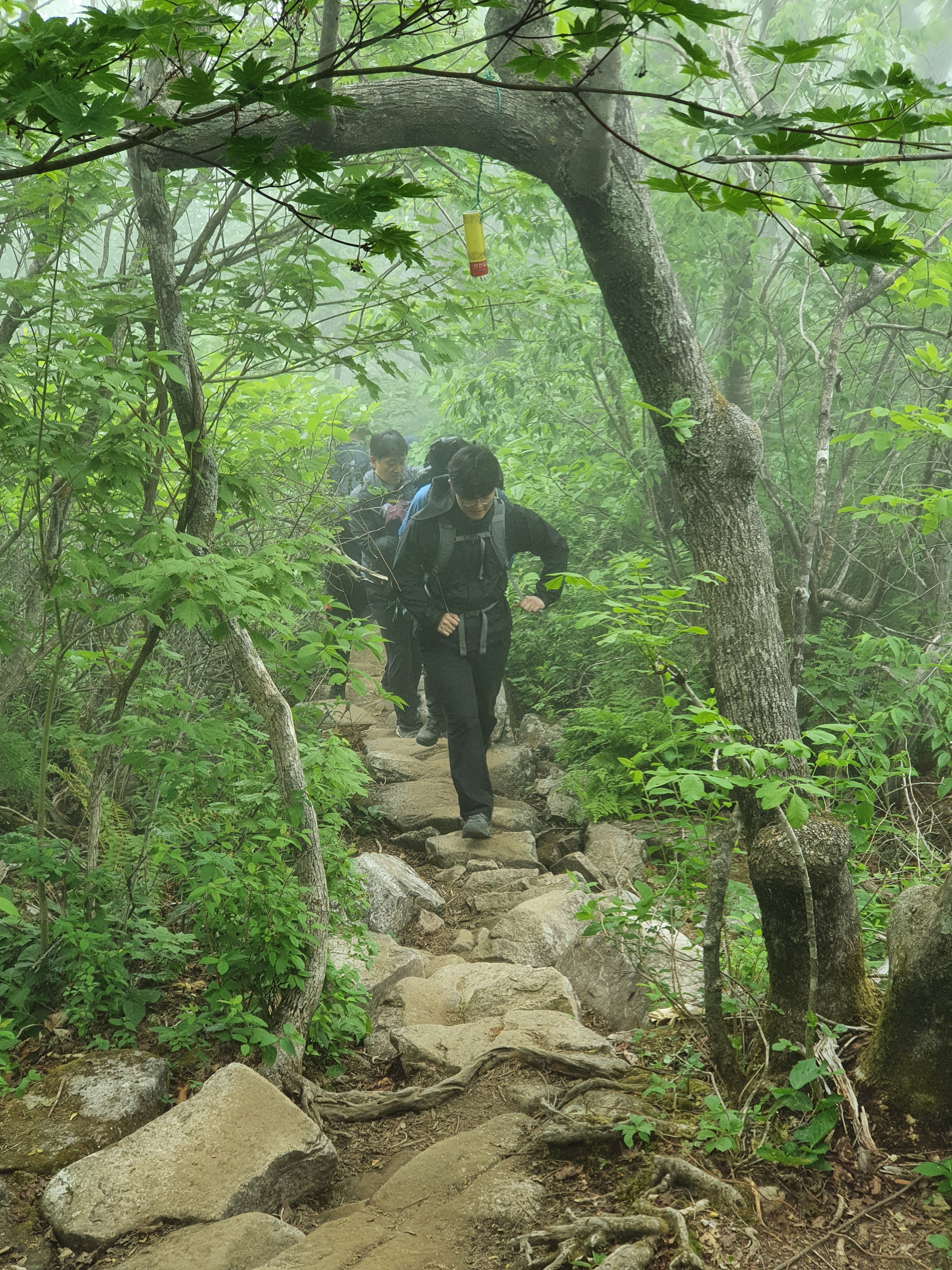 이수한의원 건강 칼럼 이미지