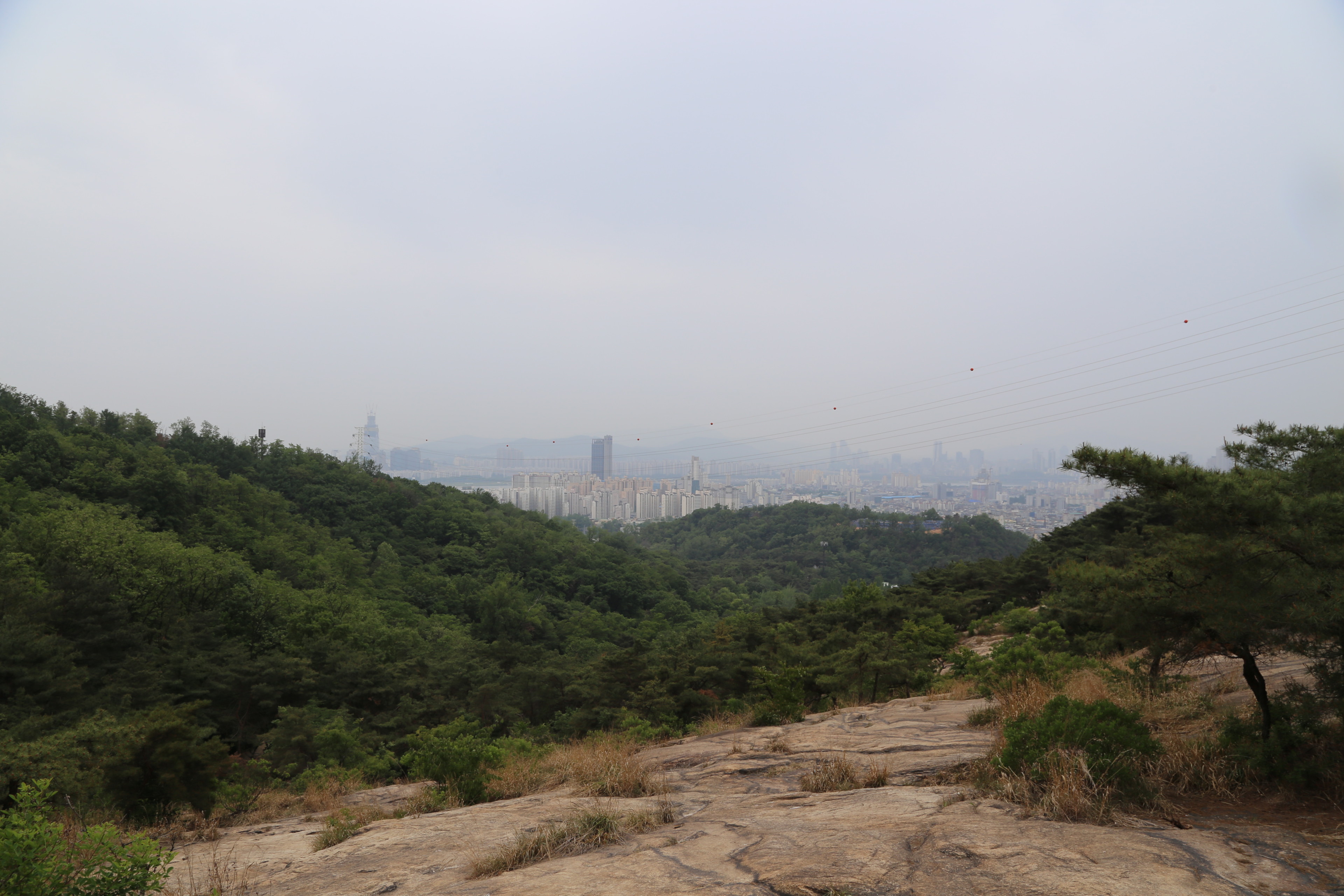 이수한의원 건강 칼럼 이미지