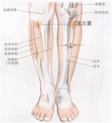이수한의원 건강 칼럼 이미지